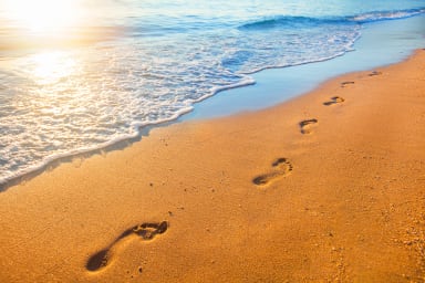 Golden Sand of Miramar Beaches & Half Moon Bay State Beaches
