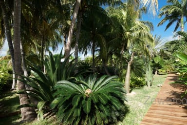 Photo de Bungalow en location saisonnière à Saint-Francois en Guadeloupe 