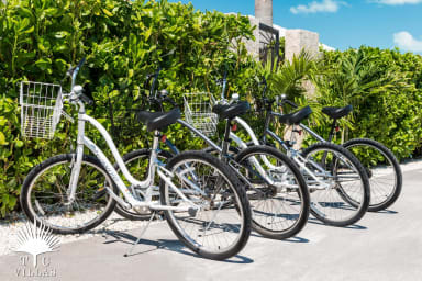 Reef Pearl's bikes.