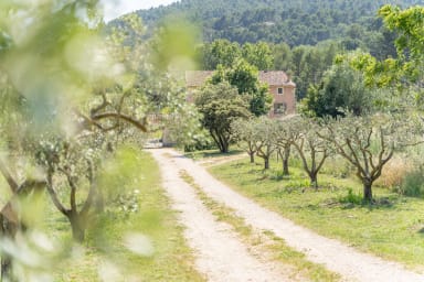 Dream holidays in Provence