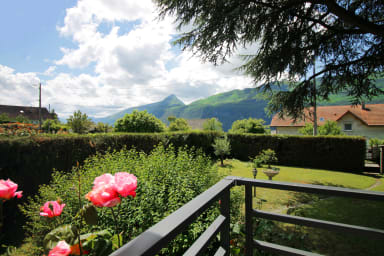Vue de la dent du chat