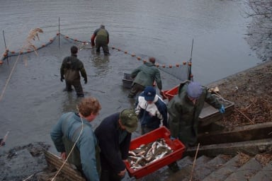 Pêche