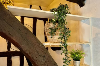 Décoration d'ambiance