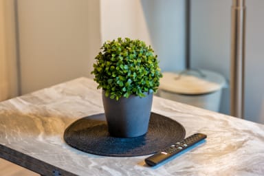 Décoration d'ambiance