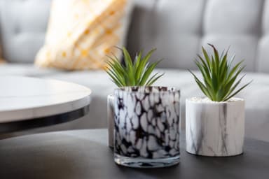 Décoration d'ambiance