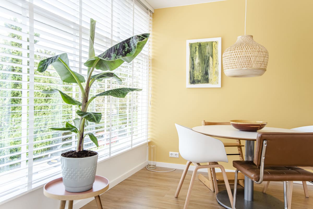 Appartement   The Shell Apartment 59