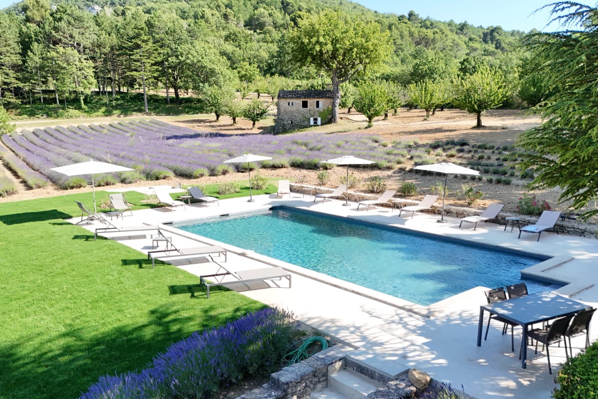 Bastide de l'Esclat - Piscine - Champs de Lavandes