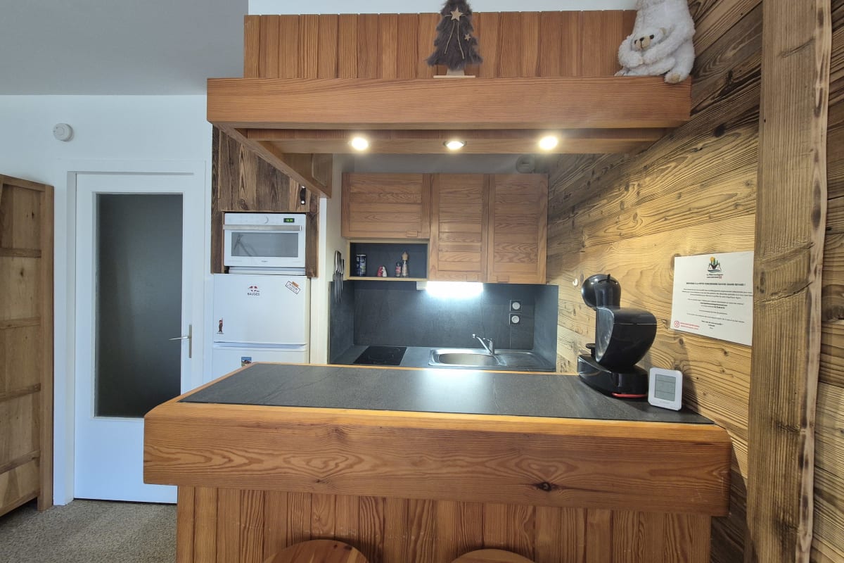 Appartement   Superbe appartement au pied des pistes - Le chamois*** 