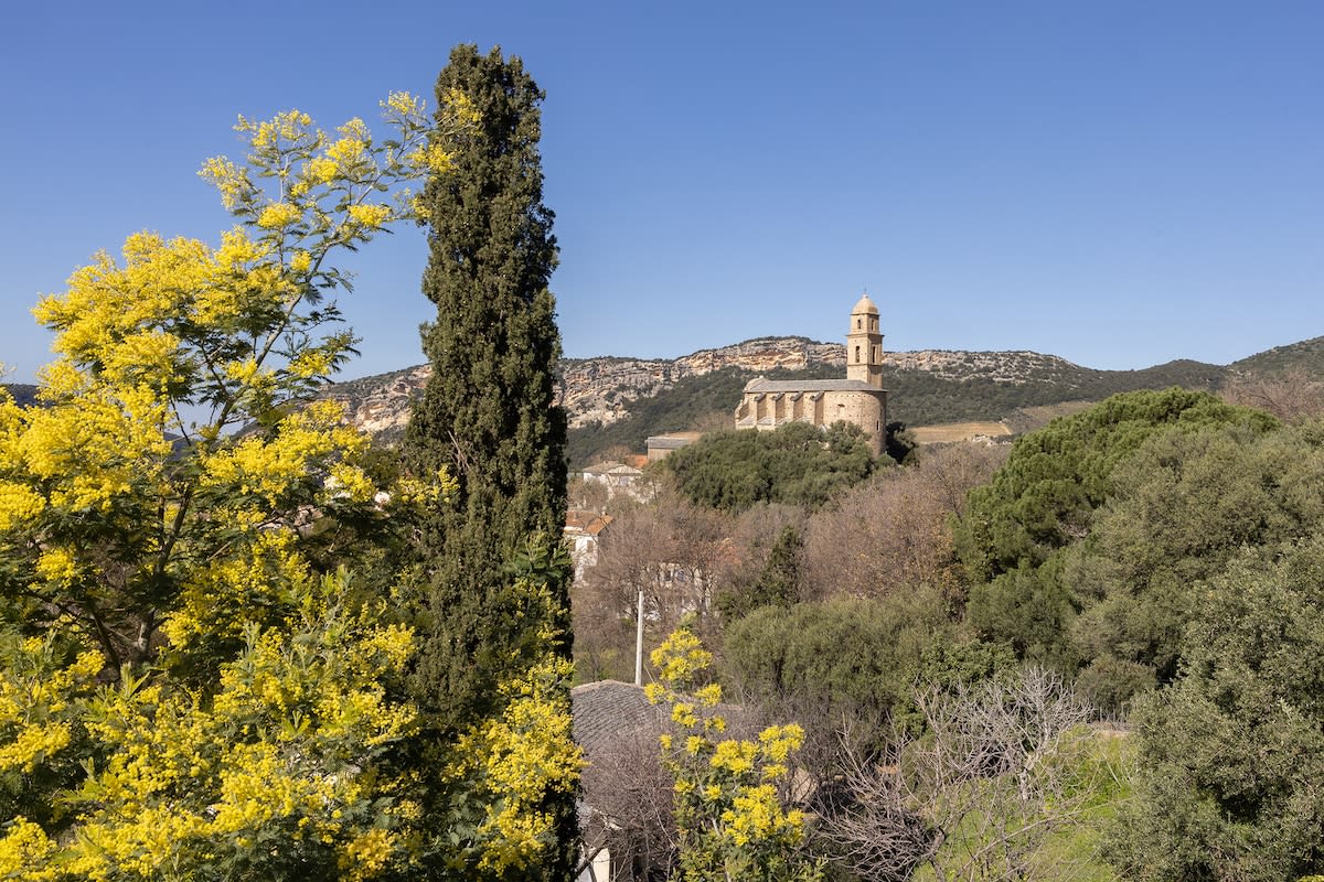  Fiore Di Vita             