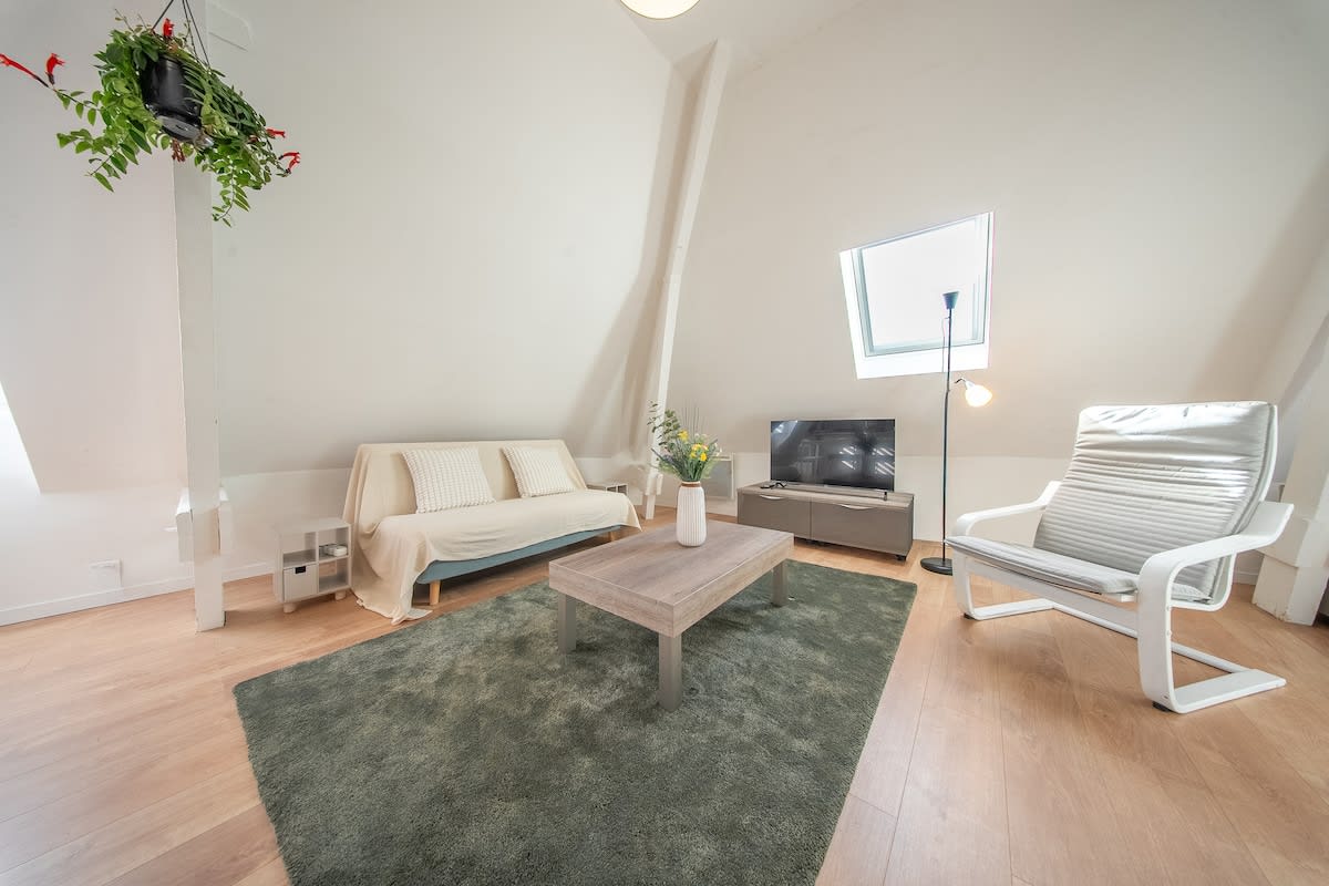  immobilier  Nid Douillet sous les Combles - Hyper Centre