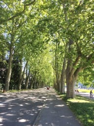 La piste cyclable, qui longe le lac et la route, est à cinq minutes de...