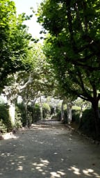 Terrain de pétanque ombragé.