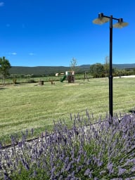 Lavender and playground