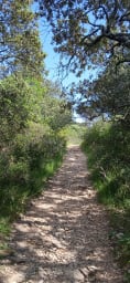 There are many trails through the woods which you can access through the...
