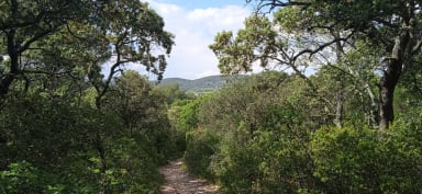 Footpath from Residence, May 2022