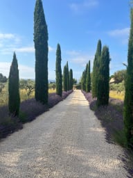 The driveway
