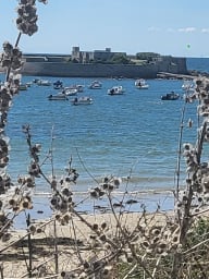 Le Fort Bloqué