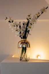 Décoration d'ambiance