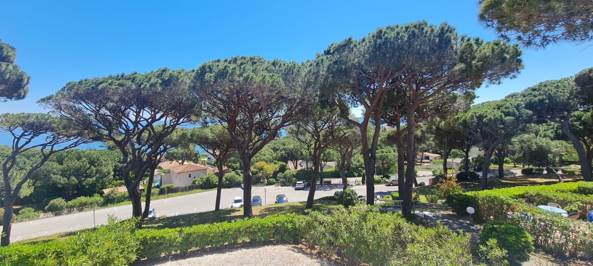 Bel appartement avec piscine à Sainte-Maxime 