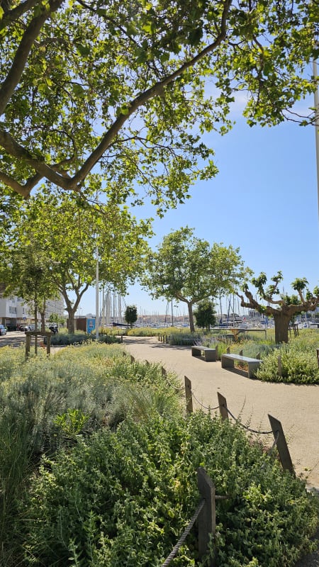 Immobilier Studio Avec Balcon Face Au Port  