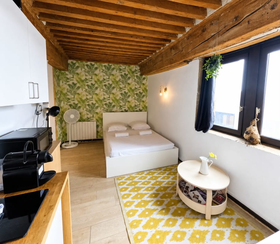  Appartement Studio tout équipe en hypercentre