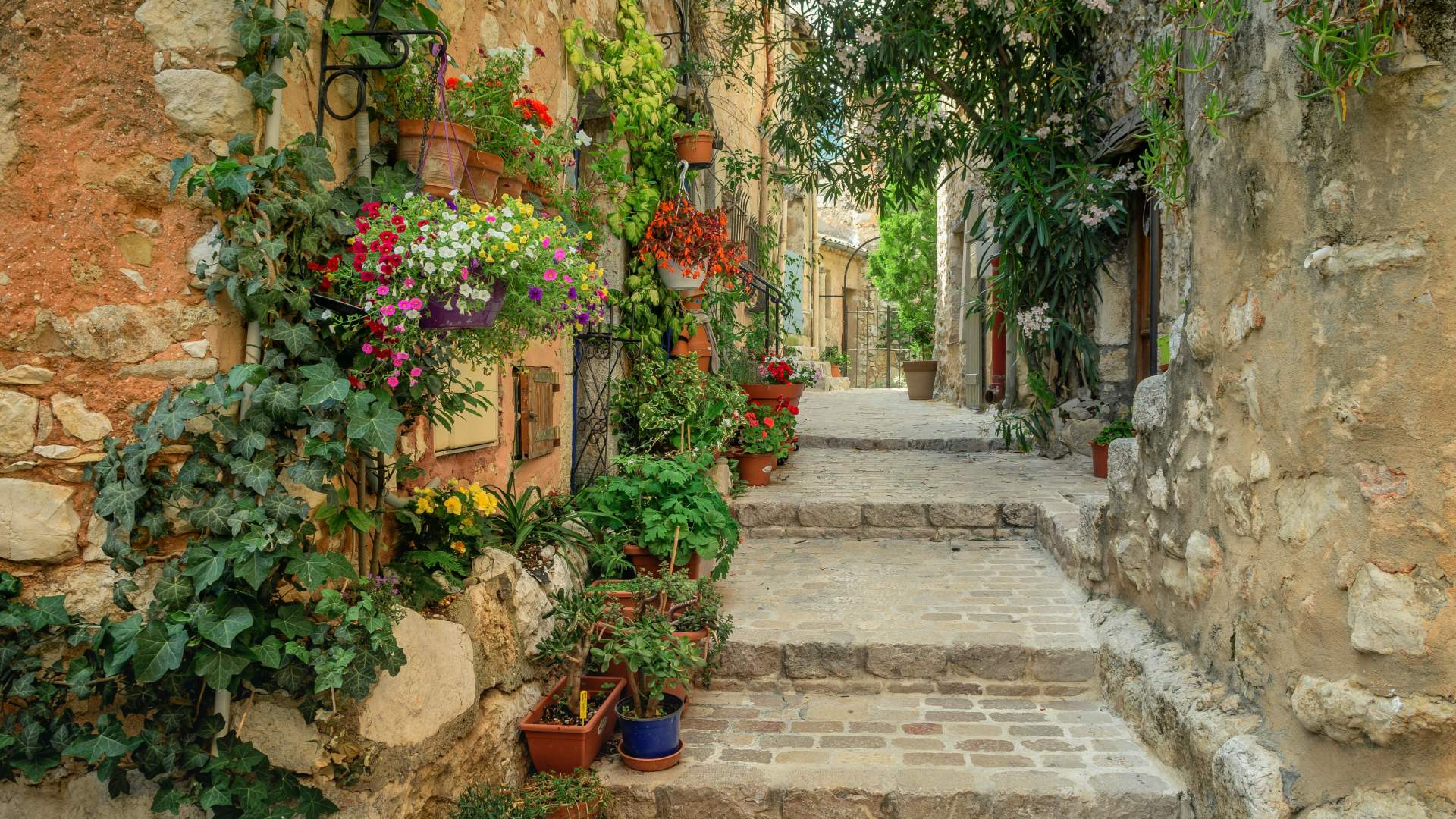 Provence