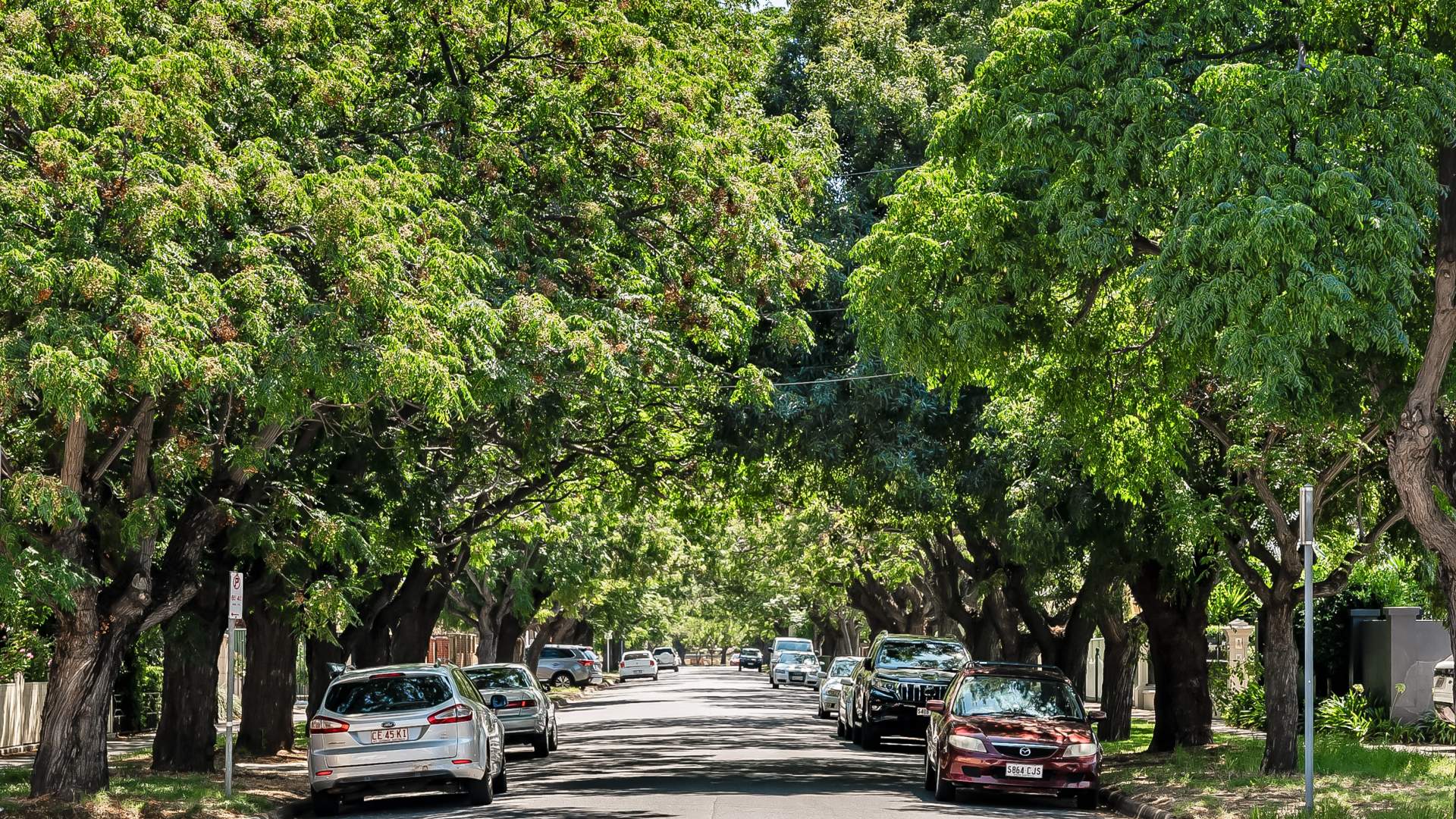 Western Adelaide Suburbs