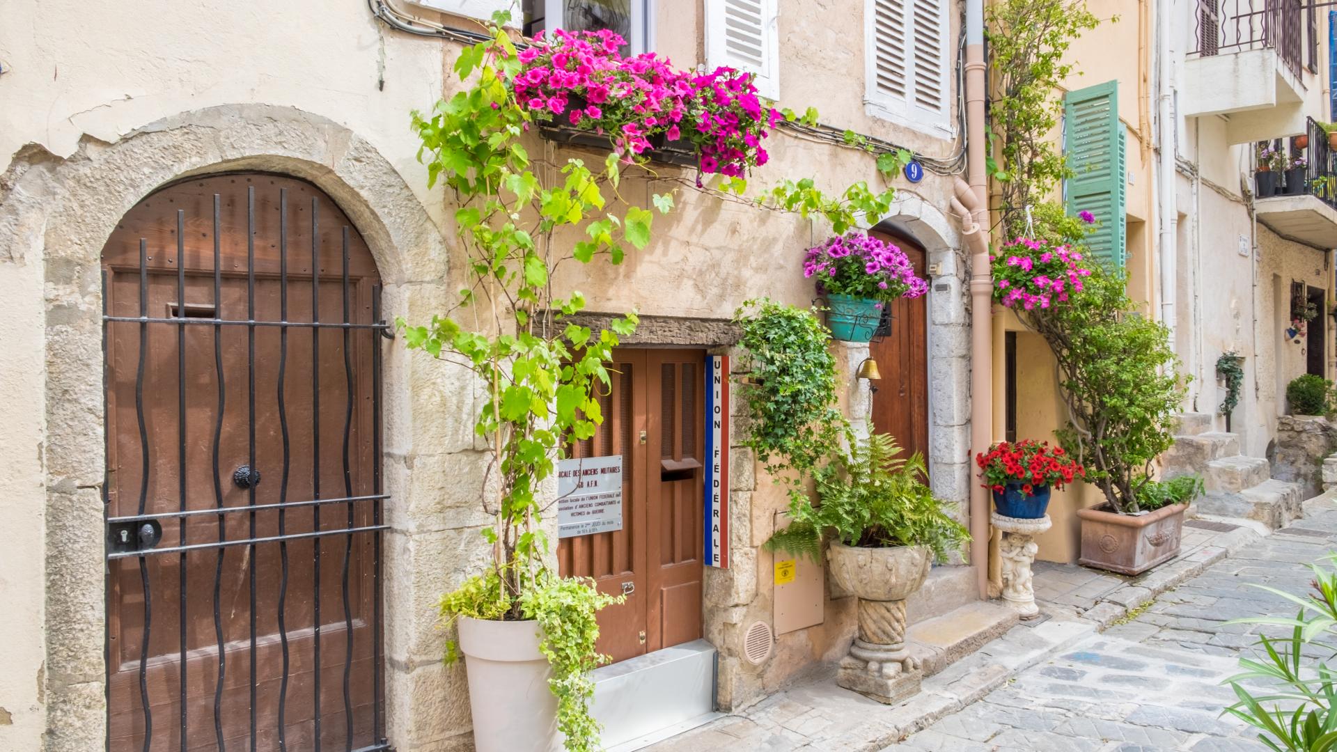 Suquet