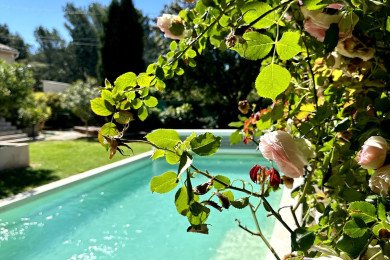Piscine et jardin.