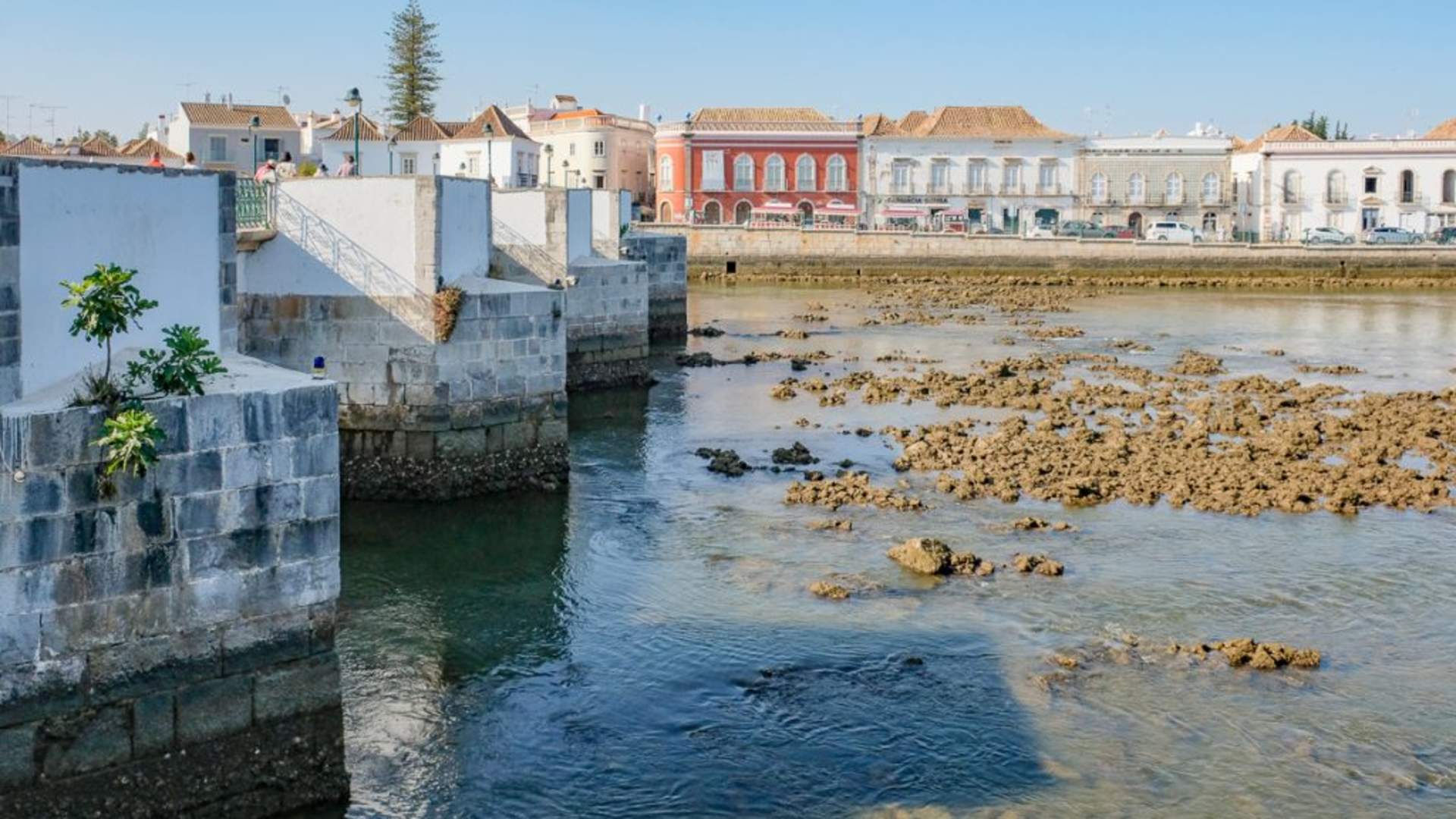 Tavira region