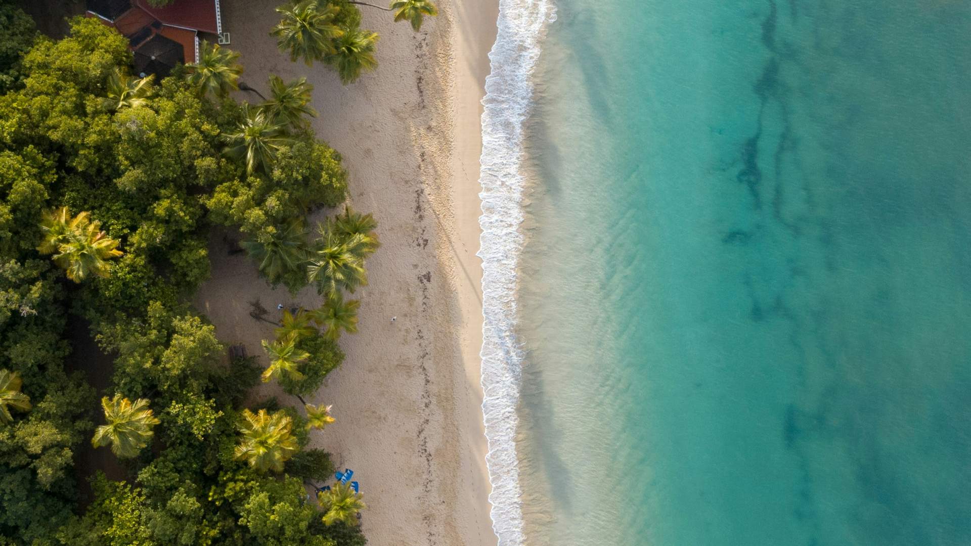Caraïbes