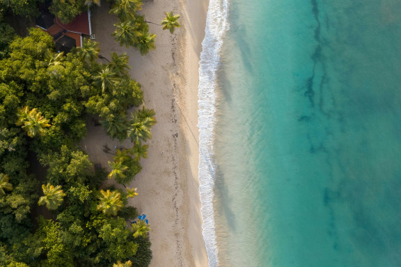 Caribbean