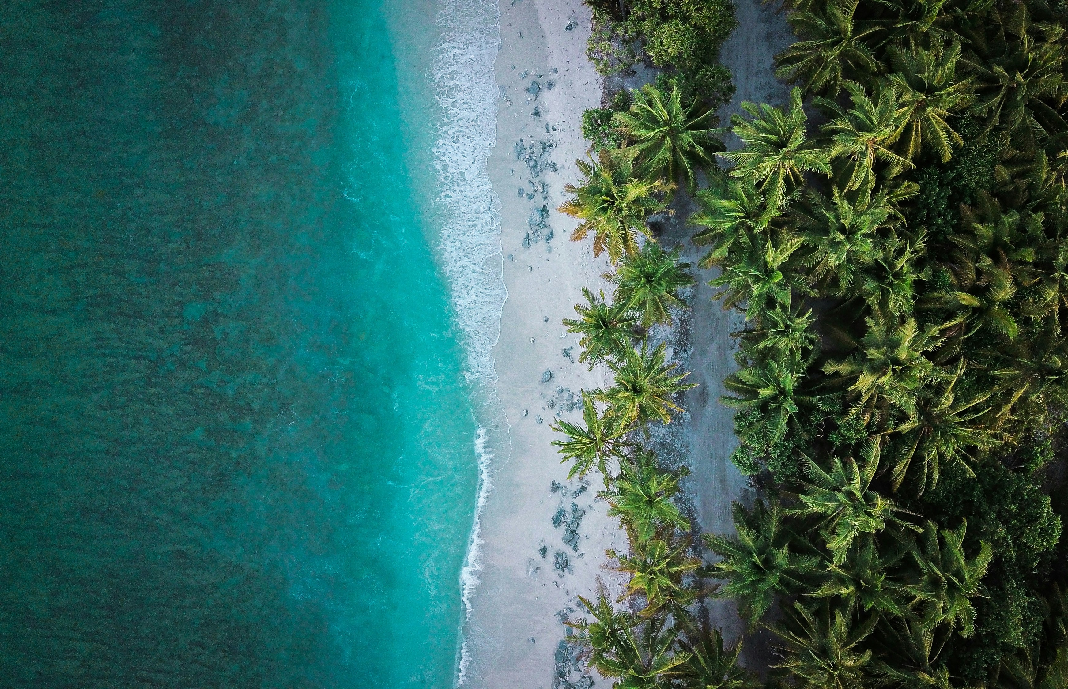 Lagoon and vegetation in French Polynesia