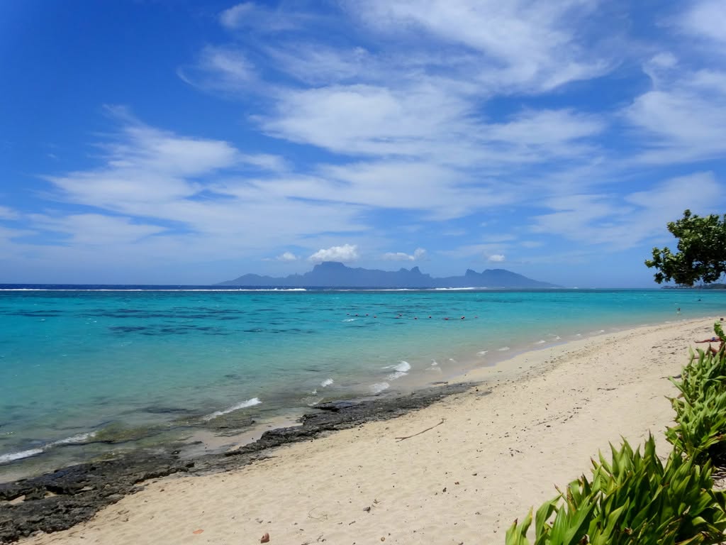 F2 bis vendu — Résidence Carlton Plage — photo 2