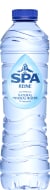 Spa Reine blauw pet