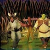 Shrek the Musical