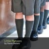 Little Platoons publicity image