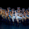 Jonathan Ollivier leading the swans in Matthew Bourne’s Swan Lake