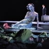 Cloud Gates's Nine Songs by Lin Hwai-min