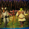 Updated: Shrek the Musical
