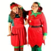 Santa's Naughty Elf and The Workshop of Mayhem (Customs House)