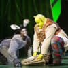 Idriss Kargbo as Donkey and Dean Chisnall as Shrek