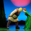 Shrek at the Theatre Royal, Newcastle