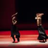 Kaash by Akram Khan