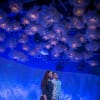 The Terminal Velocity of Snowflakes (Live Theatre)