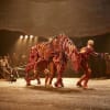 The cast of War Horse at the New London Theatre