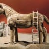 There and Back Again: An Odyssey