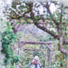 The Secret Garden