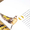 The Lost Words by Robert Macfarlane and Jackie Morris