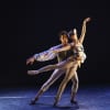 Viviana Durante Company: House of Birds: Thiago Soares and Lauren Cuthbertson